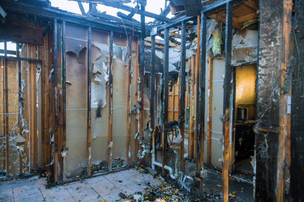 Professional Fire Damage Removal technician working in Wilton Manors, FL